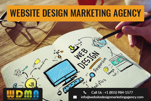 Website Design Marketing Agency In Tampa, Florida