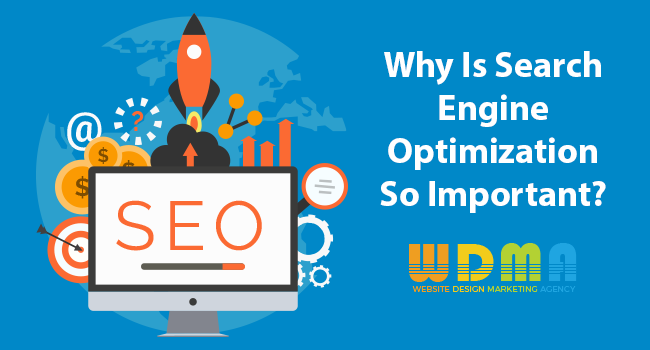 Why Is Search Engine Optimization Tampa, Florida So Important?