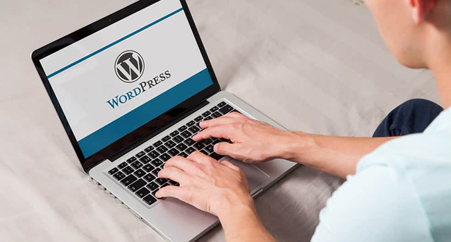 WordPress web development services